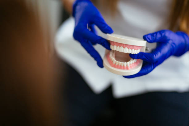 St Paris, OH  Holistic Dental Services Company